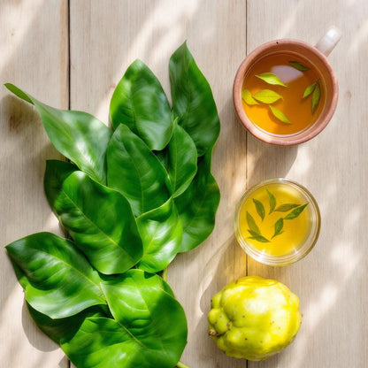 E-BOOK : LOST BOOK OF HERBAL REMEDIES By Medipharm