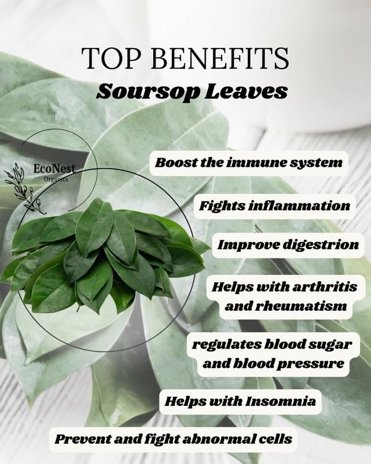 Soursop (Graviola) Leaf