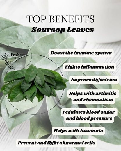Soursop (Graviola) Leaf