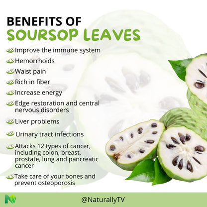 Soursop (Graviola) Leaf