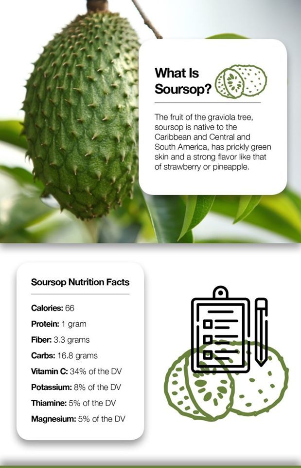 Soursop (Graviola) Leaf