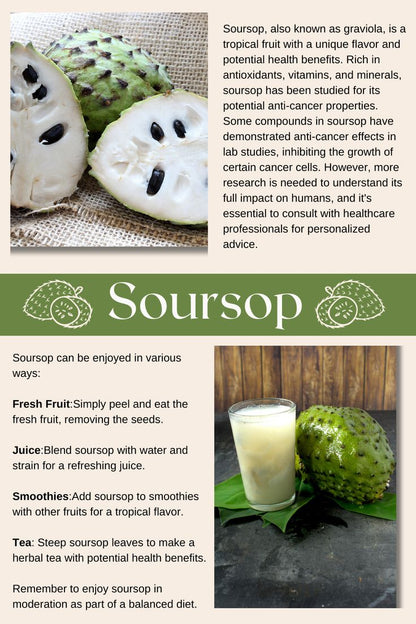 Soursop fruit
