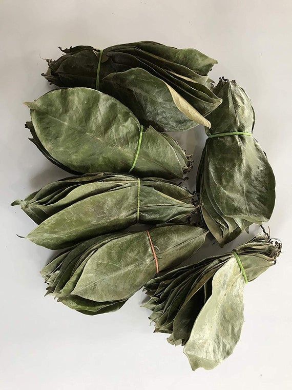 Soursop (Graviola) Leaf Powder